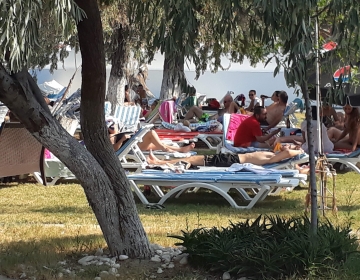 OTELİMİZ